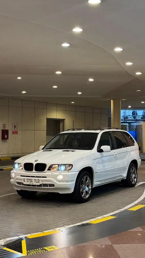 BMW X5 (RARE ITEM)