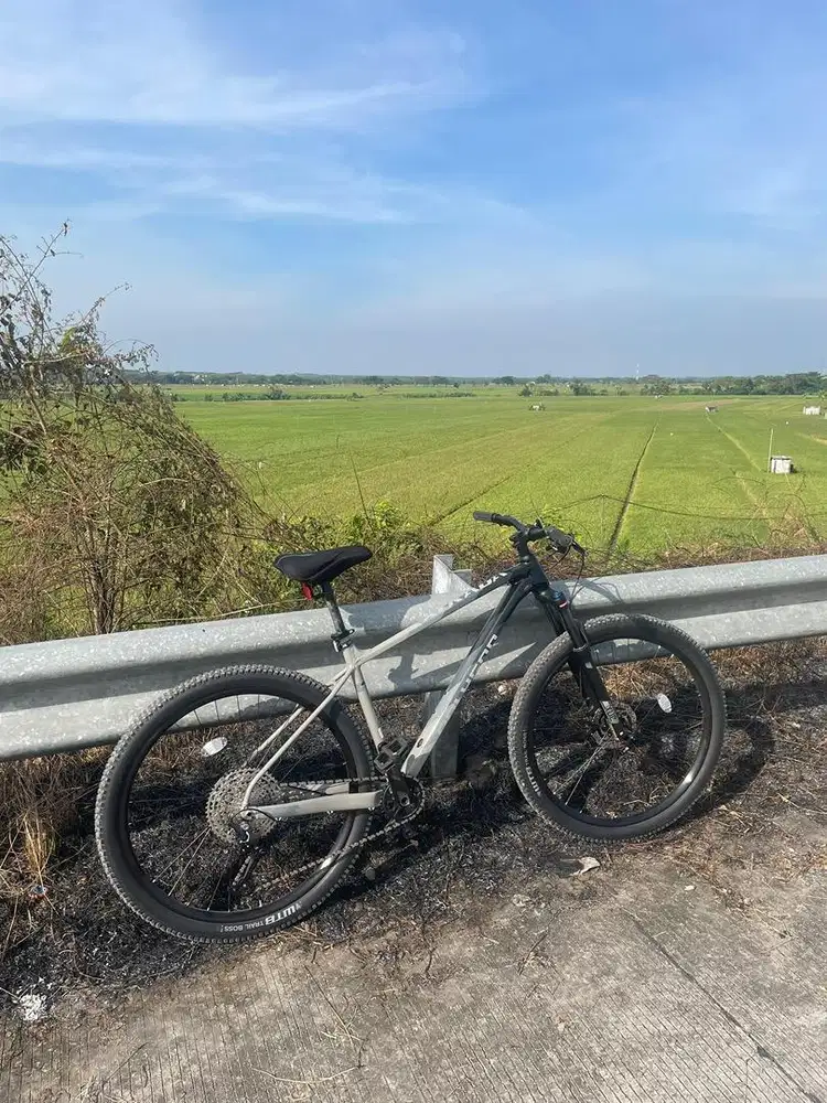 POLYGON XTRADA 7 29inc 2025
