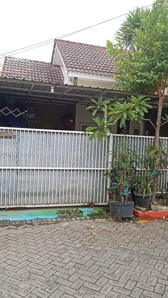 Dijual Cepat! Rumah Strategis di Surabaya Timur Mulai Rp 750 Juta!