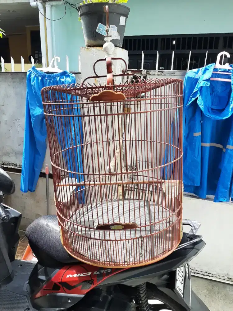 JUAL KANDANG MURAI RAFI NO. 1