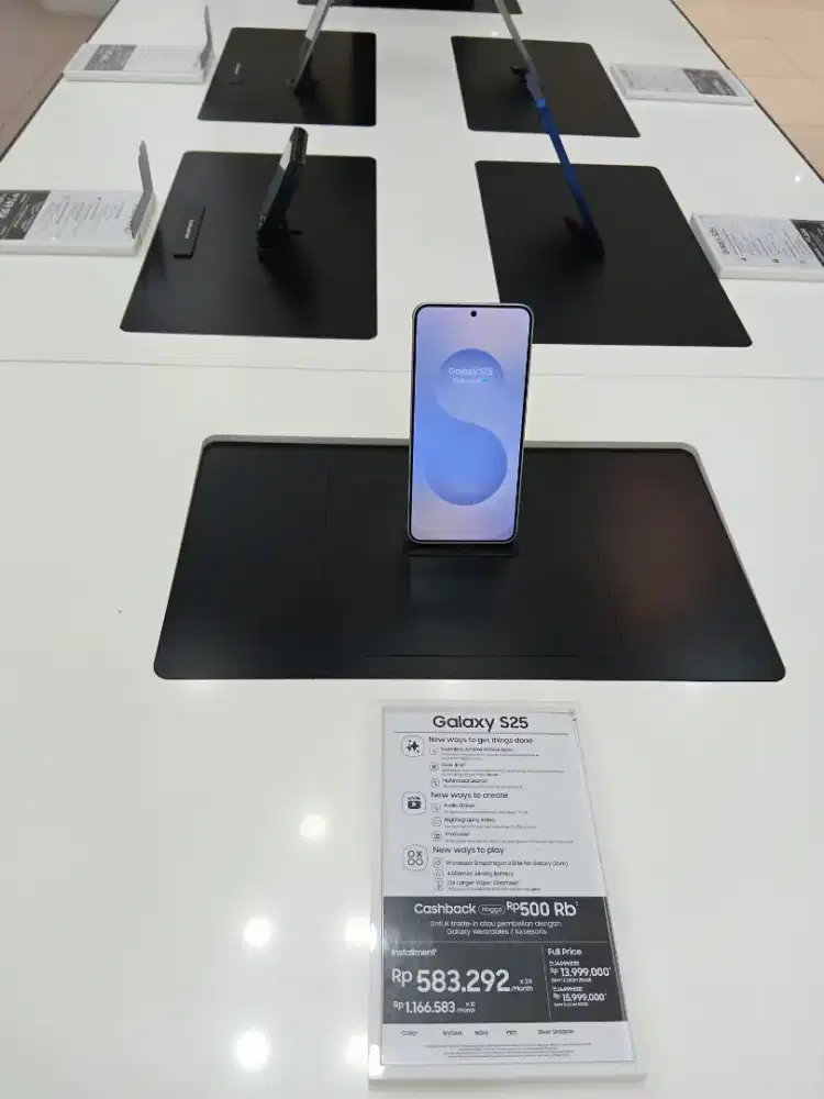 Samsung galaxy S25