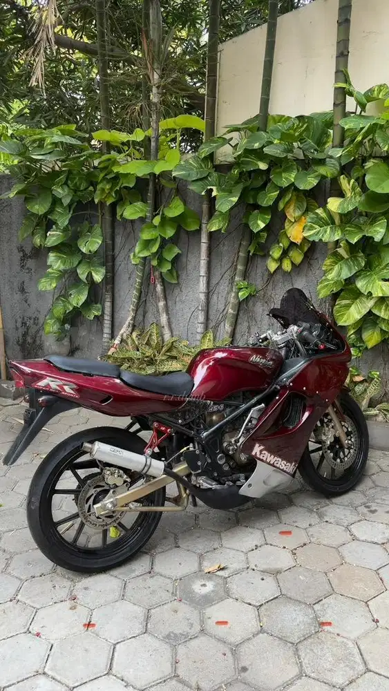 Ninja RR Old 2009
