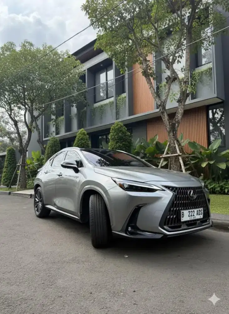 Lexus NX350h Luxury ATPM 2024