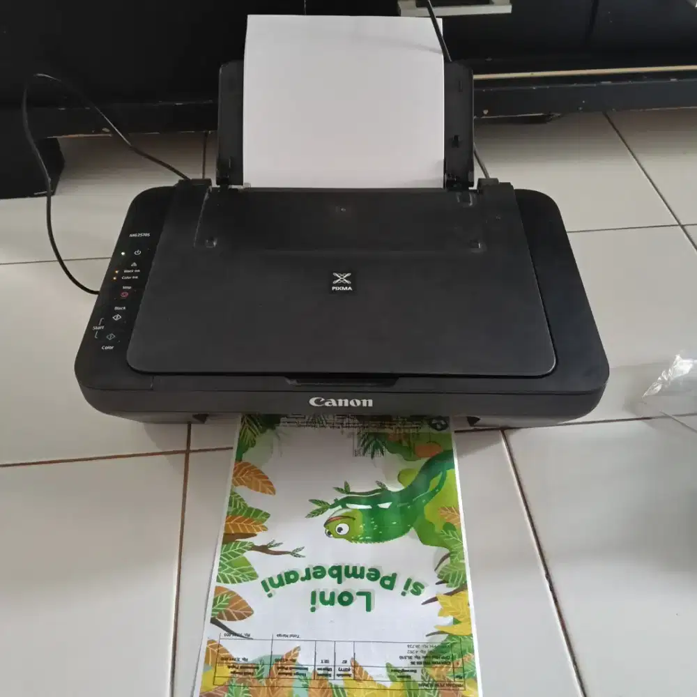 Canon printer MG2570S