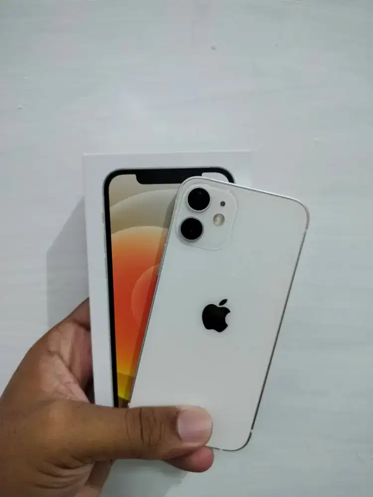 iPhone 12 mini .
