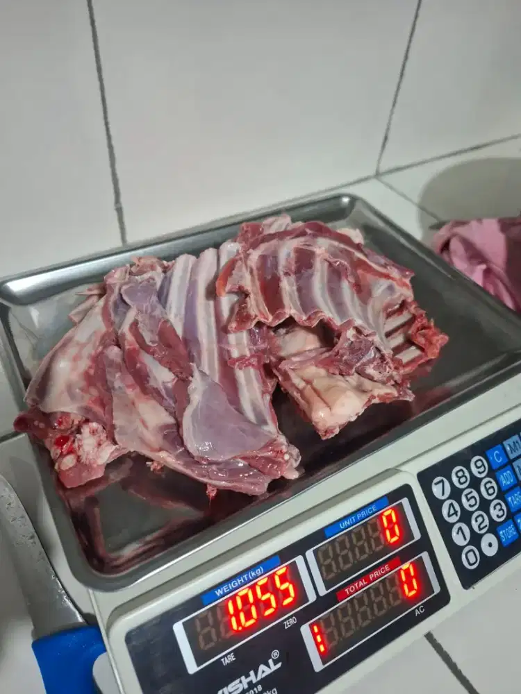 Tulang IGA kambing