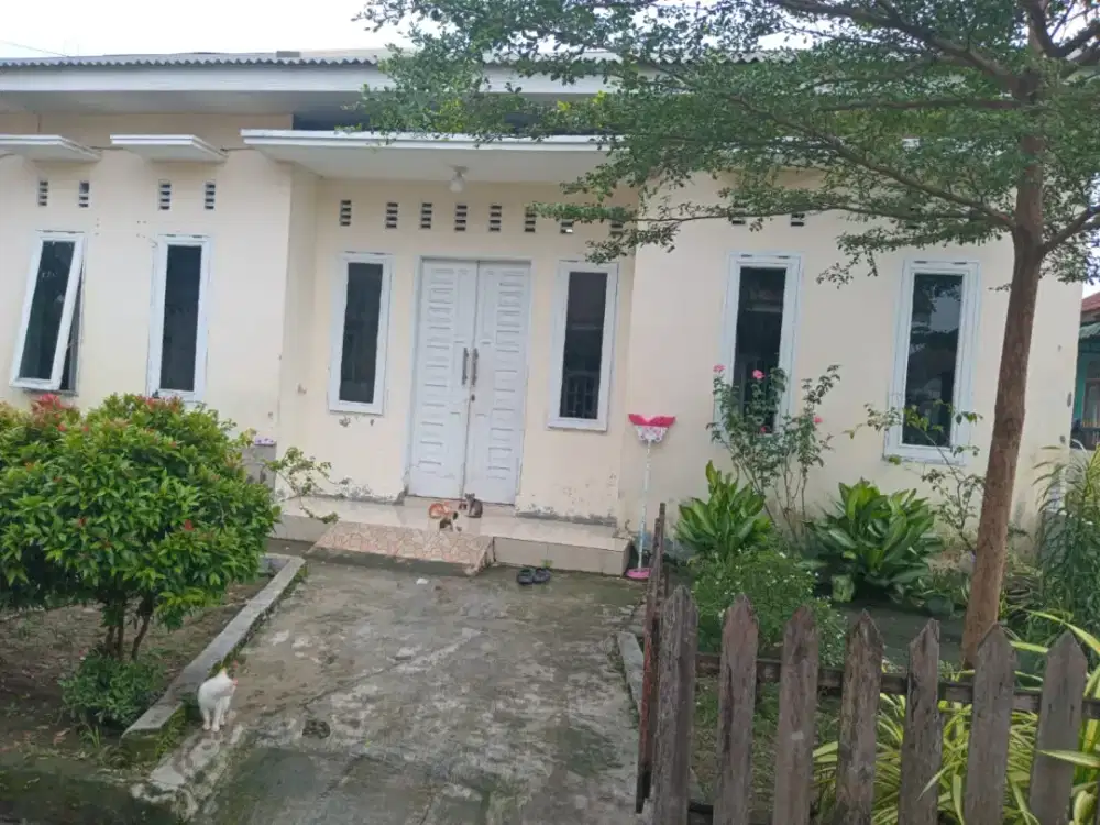 Di sewakan Rumah 1 Lantai