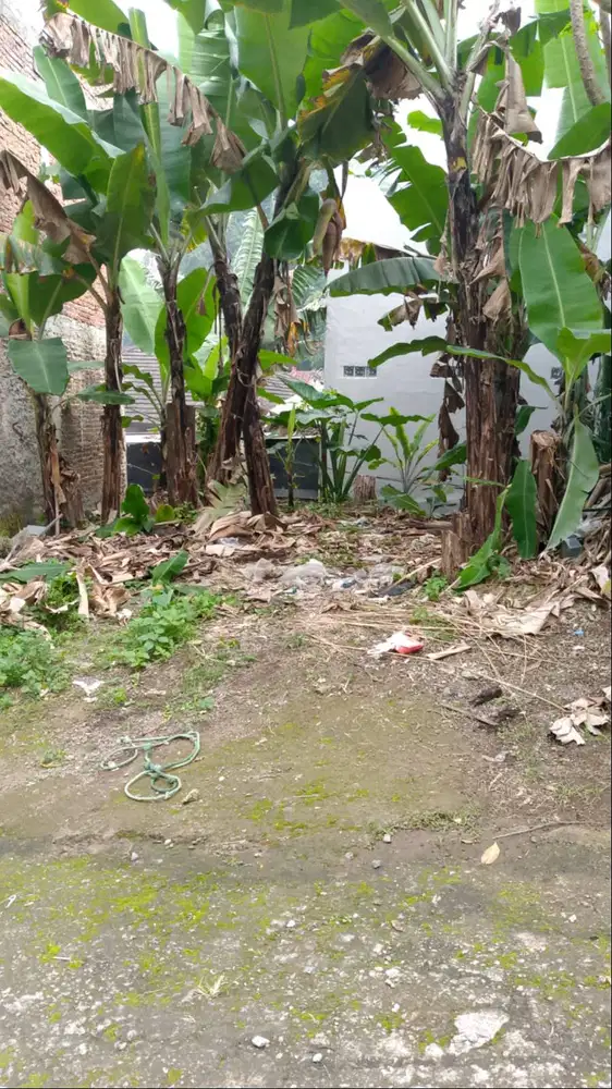 Jarang ada! Kavling sayap Dago siap bangun di area Tubagus Ismail