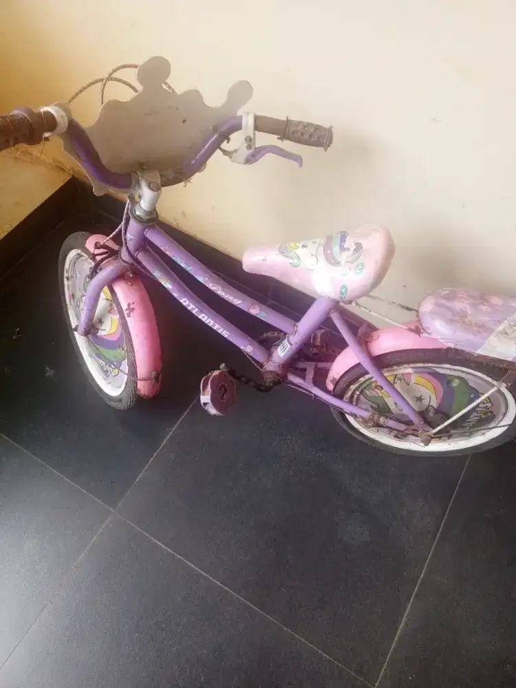 Sepeda Anak Jual Murah