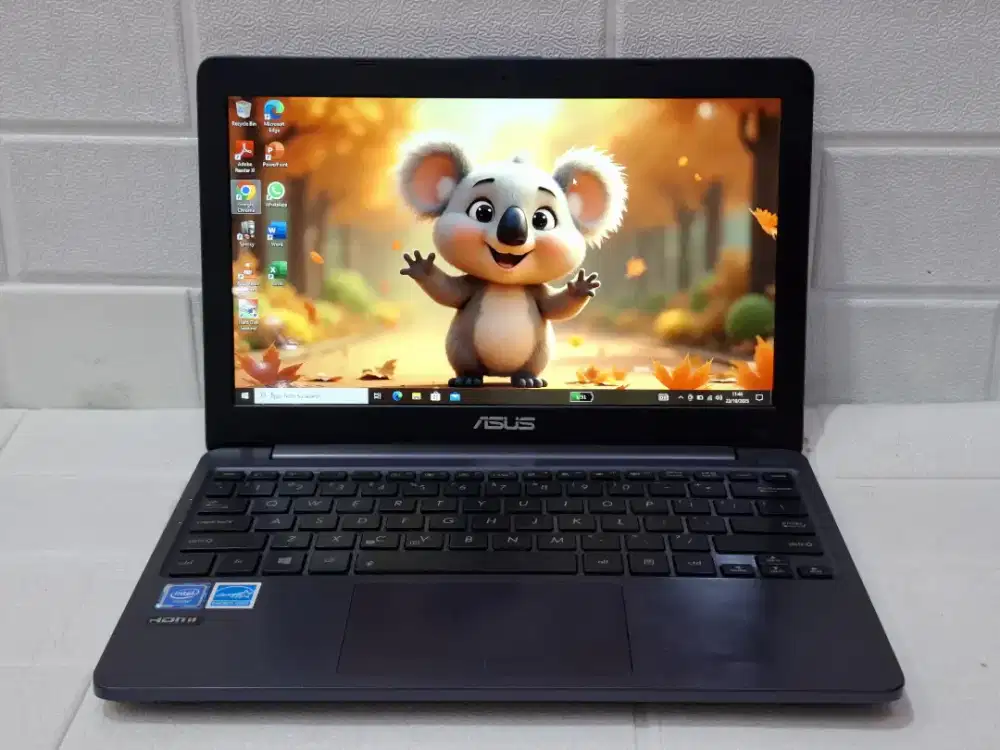 NOTEBOOK Asus E203NAH intel Celeron N3350 Ram 2GB HDD 500 GB