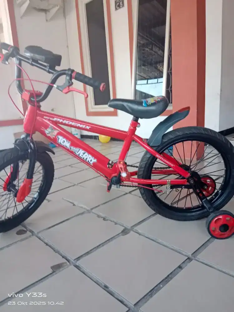 Sepeda Anak Phoenix
