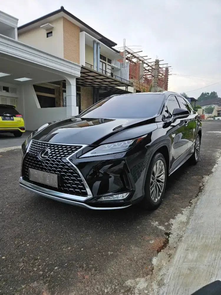 Lexus rx 300 luxury 2021