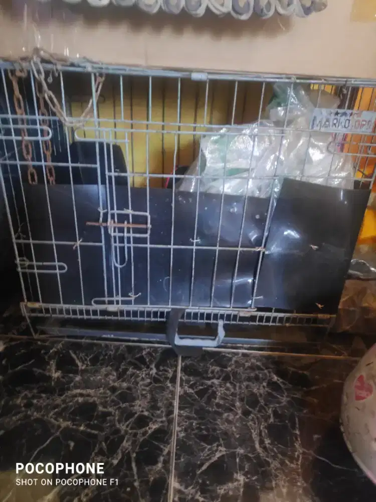 Jual kandang kucing buat anak anjing