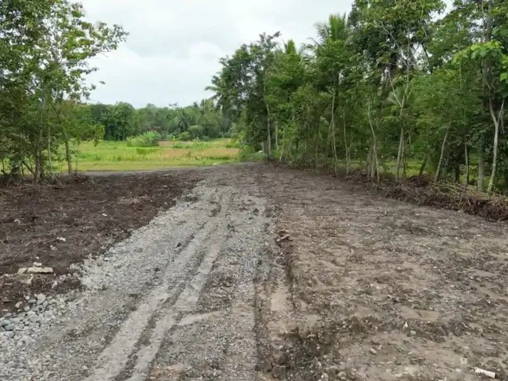 Tanah Dijual Sentolo Dekat Pintu Tol Sentolo