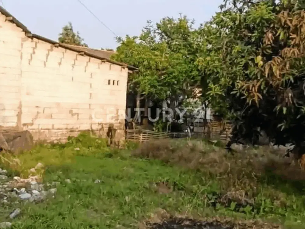 Tanah Luas Akses Jalan 2 Mobil Di Muara Gembong S7480
