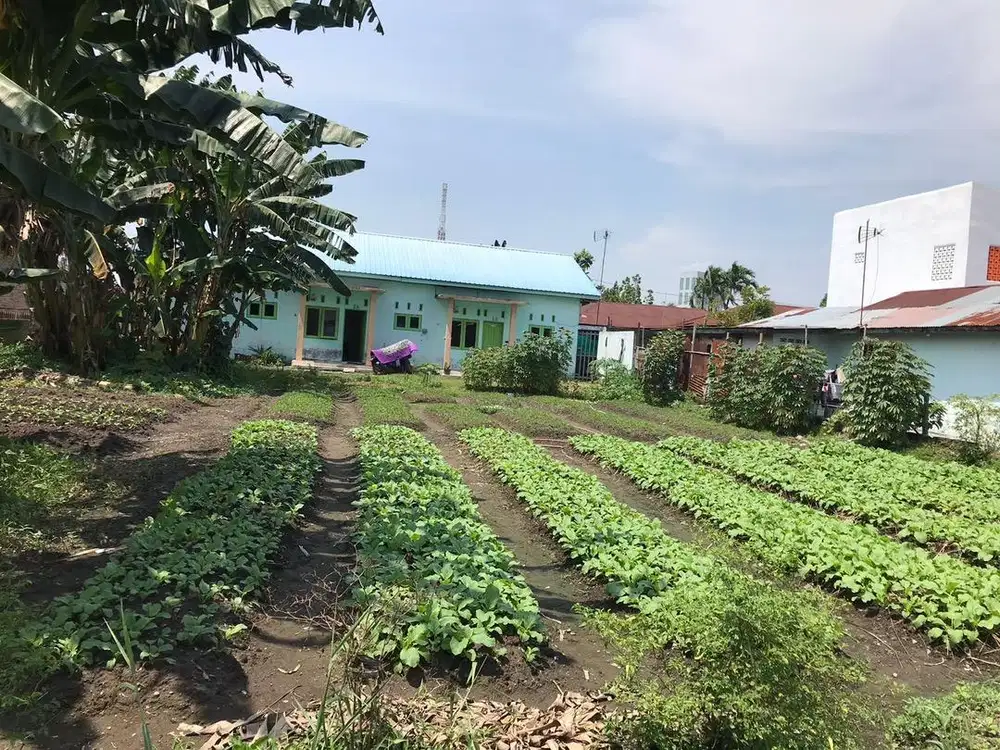 Dijual tanah martubung