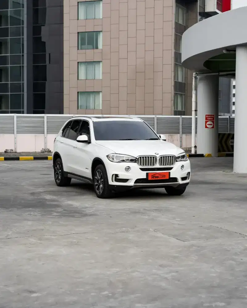 BMW X5 3.0 sDrive xLine