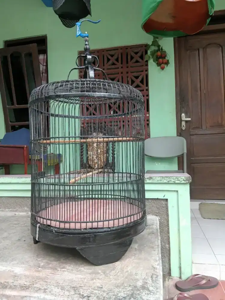 Sangkar bulat diameter 50