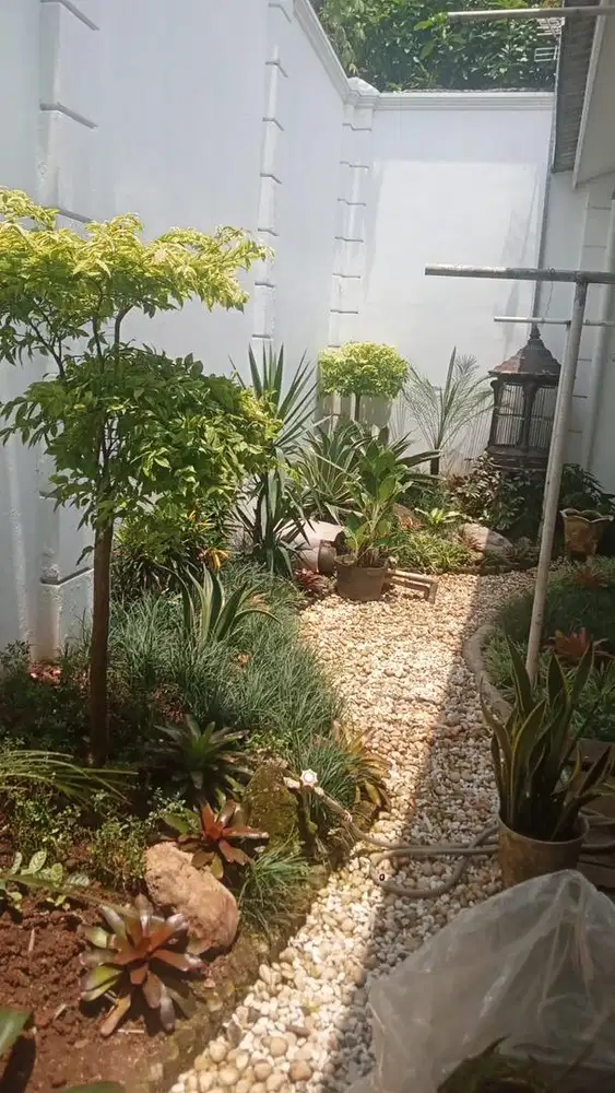 Jasa hias dan rawat kebun beserta kolam renang