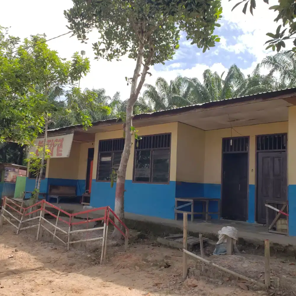 Lowongan Perkebunan Kelapa Sawit