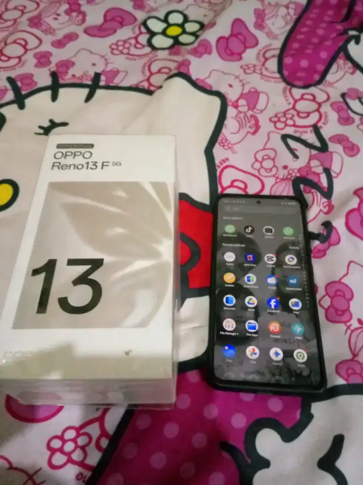Oppo Reno 13F 5G