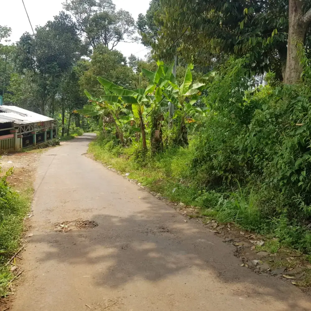 Tanah Murah 4400 M2 Cikalong Wetan