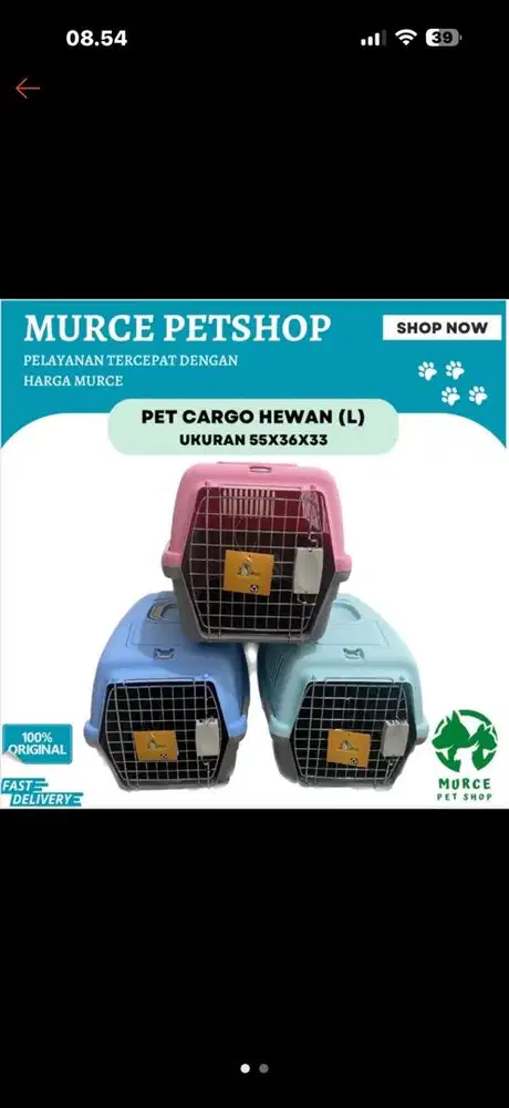Pet cargo kucing