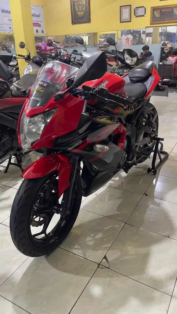 KAWASAKI NINJA MONO 250 TH 2017