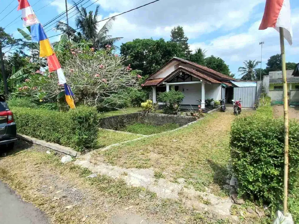 Rumah Bonus Pohon Durian Tambaksogra Halaman Luas Dekat Ke UMP