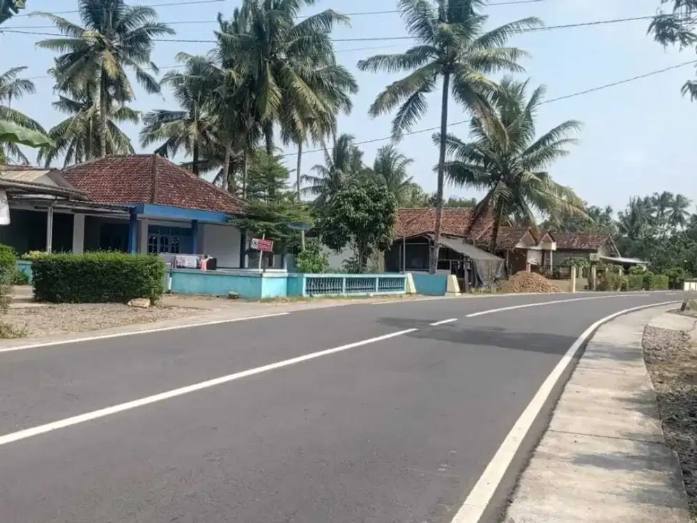 Dekat Kantor Pajak & Pengadilan Wates – Tanah Strategis Untuk Hunian