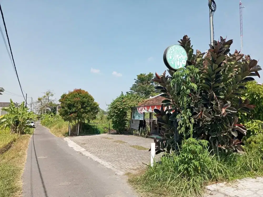 Tanah Asri Dekat Jl. Damai Jogja – View Sawah, Cocok Homestay/Hunian