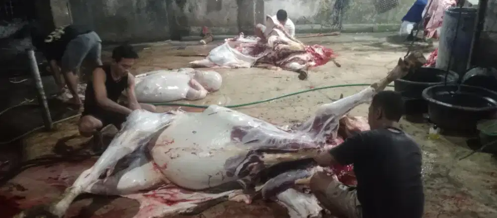 Daging sapi segar