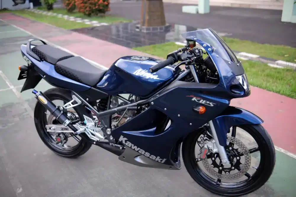 Ninja rr old 2010
