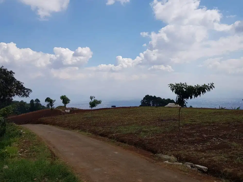 Tanah Shm 11000 M2 Pasanggrahan Cimenyan