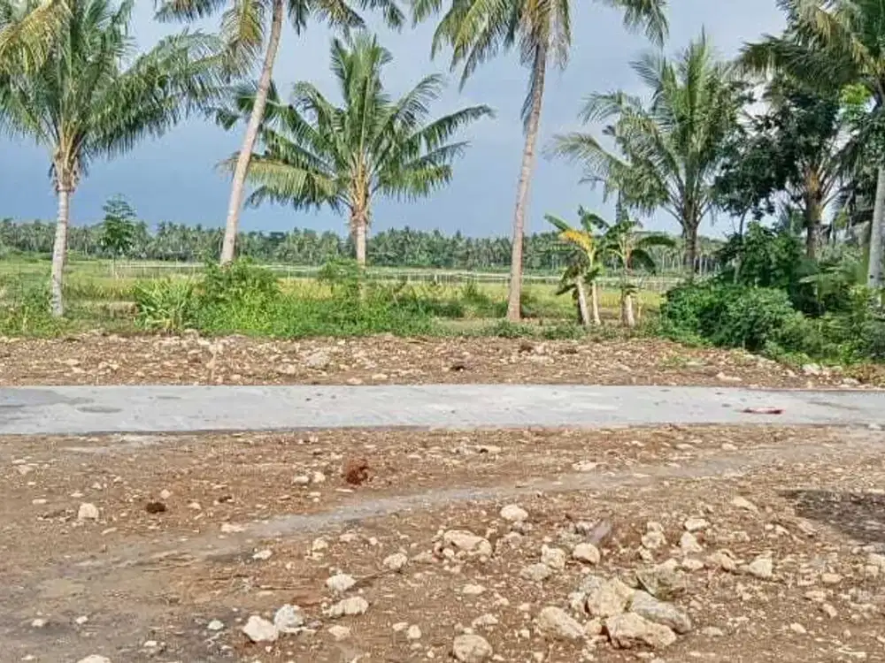 Tawangsari Pengasih, Tanah Kulon Progo, dekat Stasiun Wates