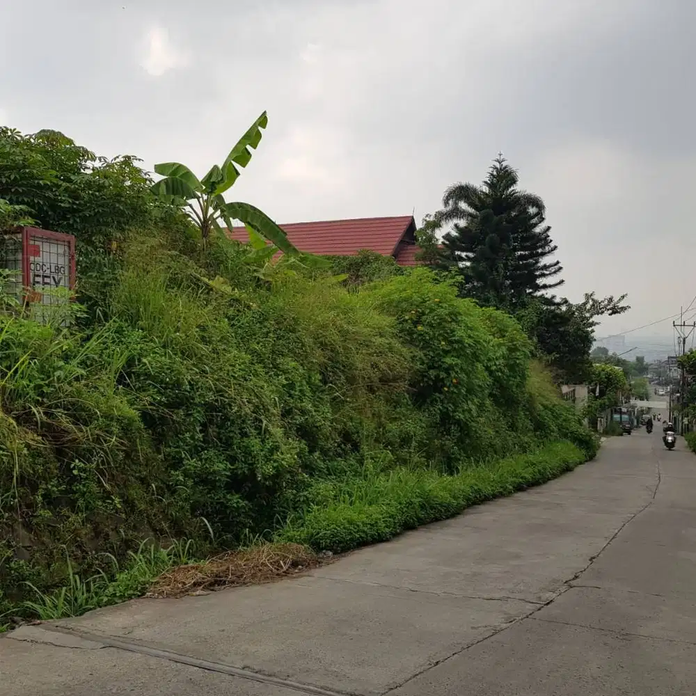 Tanah Matang 3000 M2 Bojong Koneng Cikutra Bandung