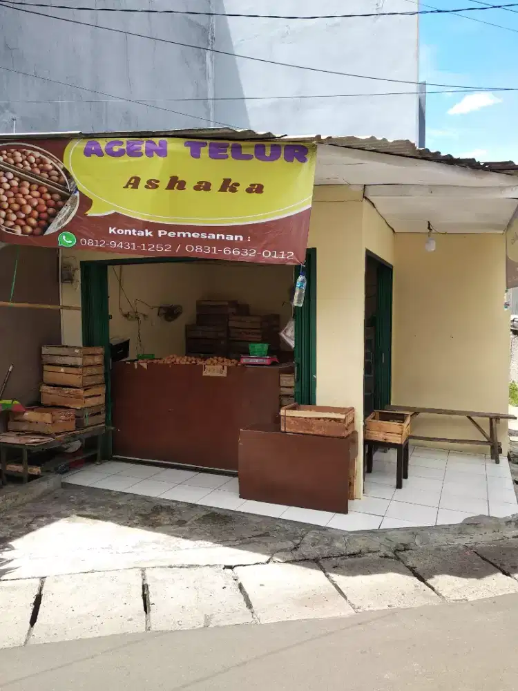 Agen Telur Ayam Ashaka