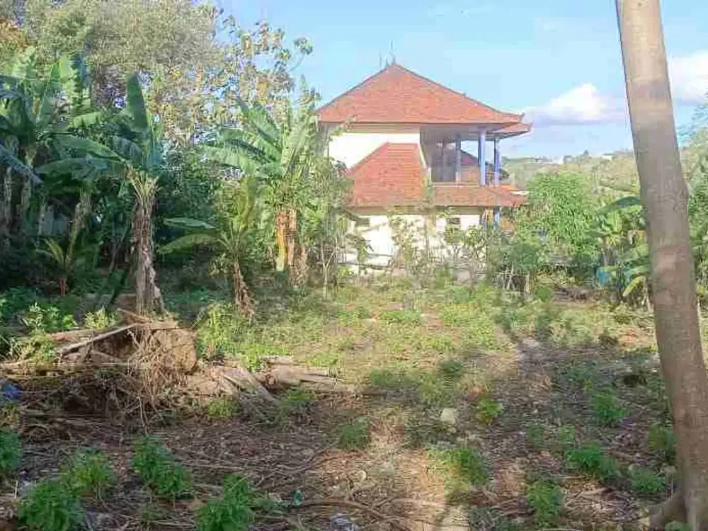 disewakan tanah 10 are kawasan Padang Padang Beach Pecatu Badung Bali