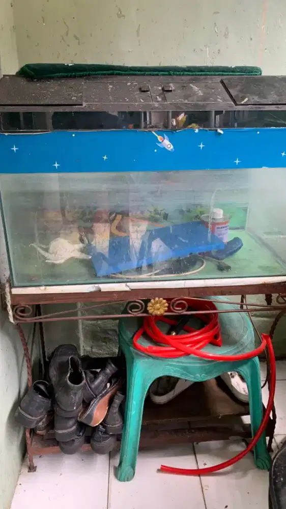 Aquarium plus meja