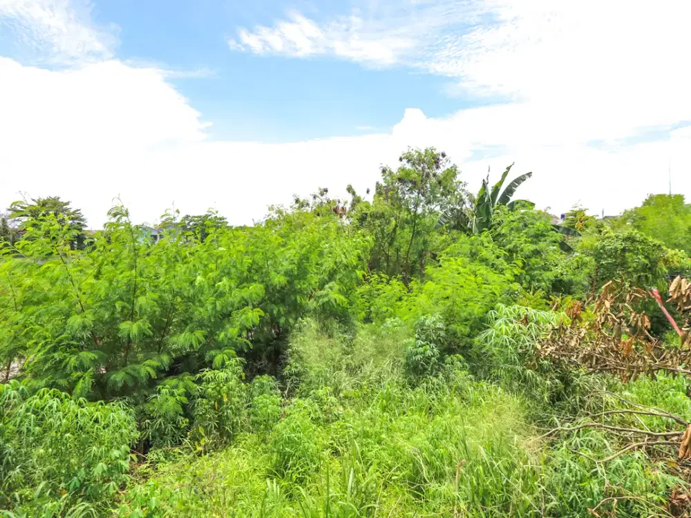 Tanah 1500m2 di Serua Indah Ciputat TangSel, akses mudah Bintaro
