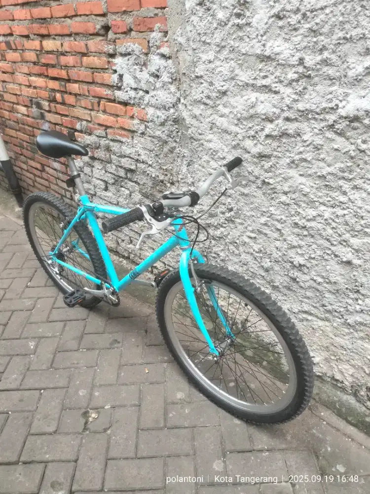 Mede in Taiwan 26 normal