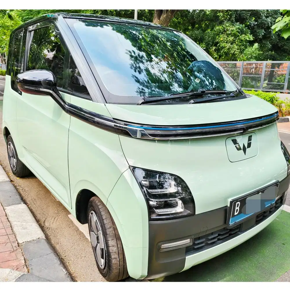 Wuling Air EV Long Range 300KM Pro Binguo Cloud Atto 1 byd 3 dolphin 2