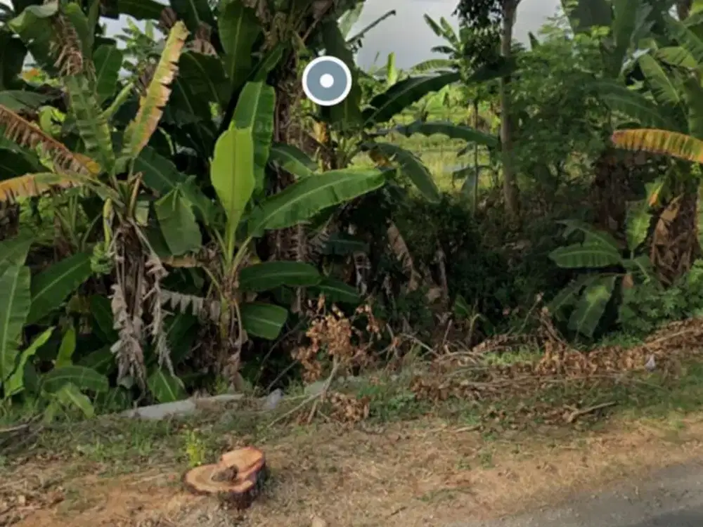 Dijual Lahan Kawasan Industri Strategis Sambungmacan Sragen Luas 6 Ha