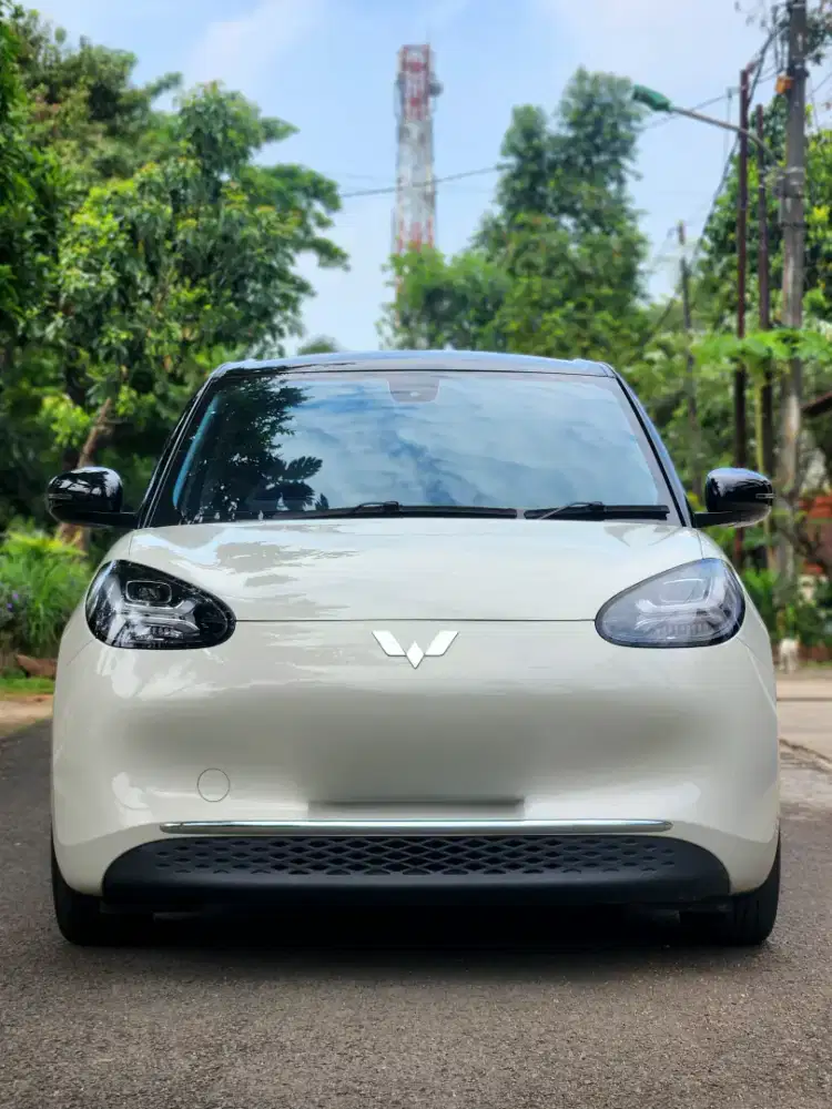 Binguo EV longrange 410 2024 low KM