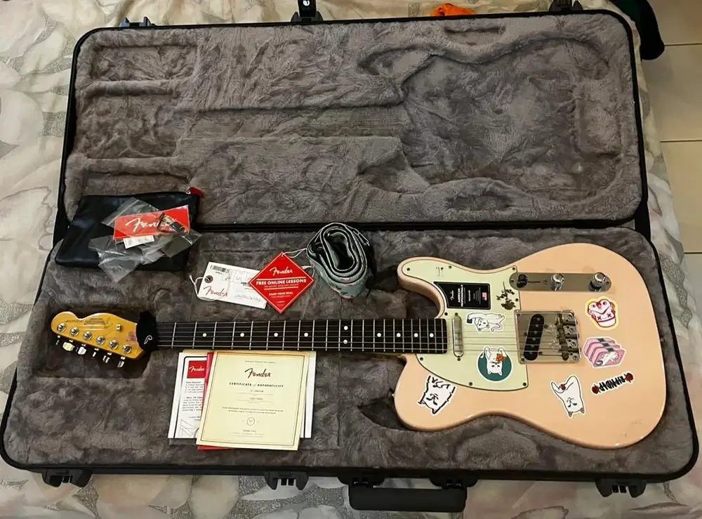 Fender Telecaster American Professional II shell pink