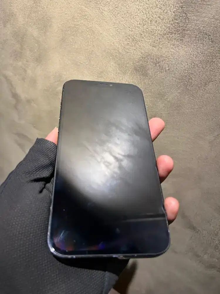 Iphone 12 PM 256 ibox