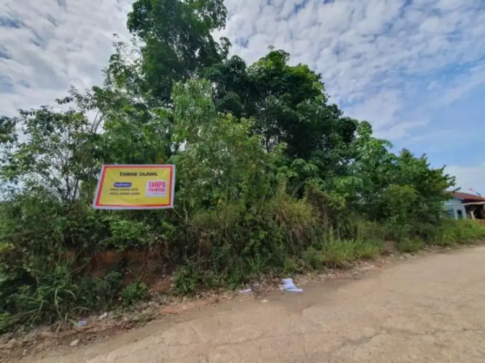 Jual Cepat Tanah Lokasi TANJUNG Barangan