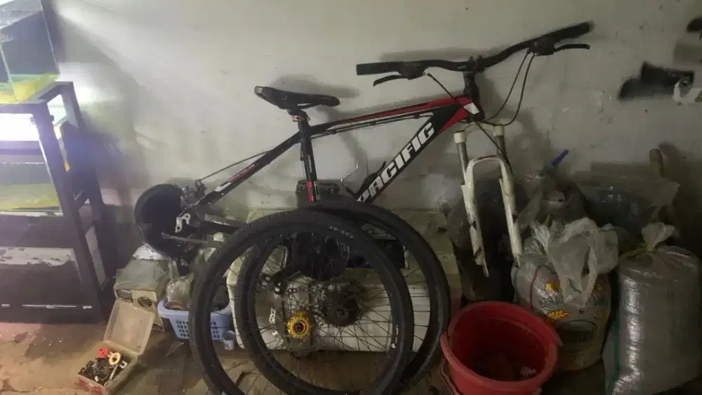Sepedah MTB   pasific SPAZIO 1.0 UK 26