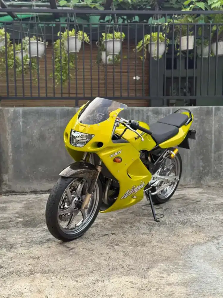 Ninja RR old 2011