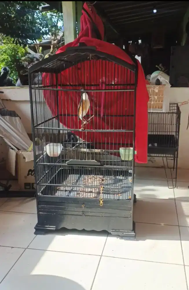 Pentet sembur isian mewah